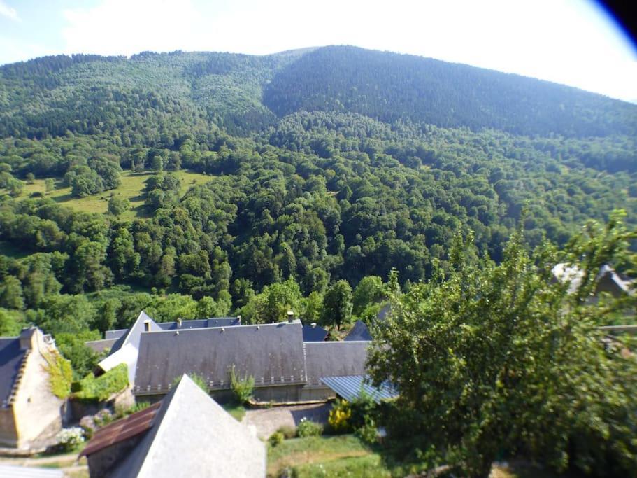 Maison Familiale Pour 8 Saint-Aventin Εξωτερικό φωτογραφία