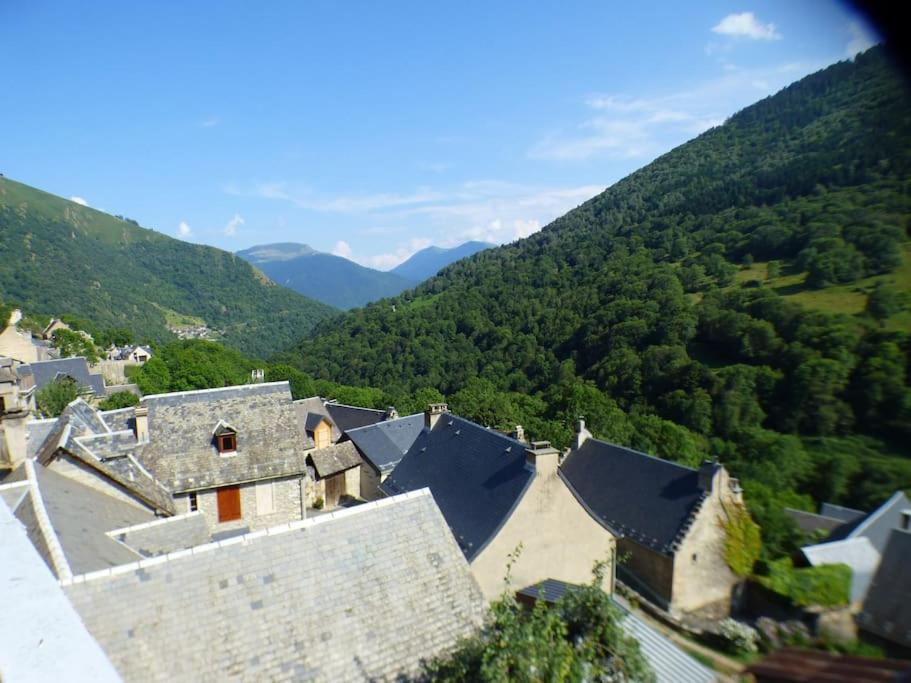 Maison Familiale Pour 8 Saint-Aventin Εξωτερικό φωτογραφία